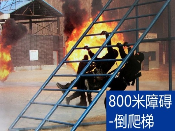 800障碍爬梯.jpg