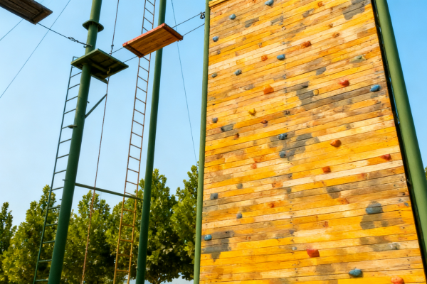 1762930034132320.png 心理3(1).png